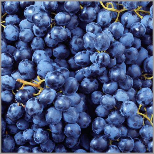 All Fresh Grapes & Juices