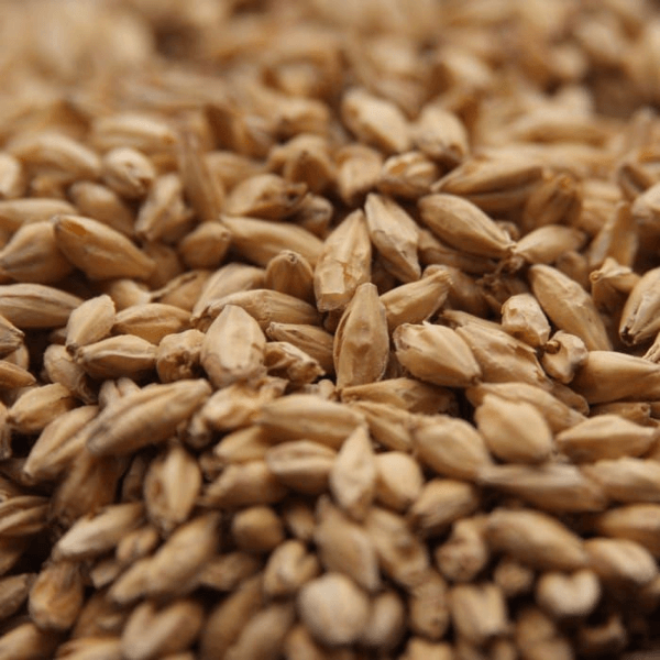 GRAINS - 2 Row Malt - 55lb