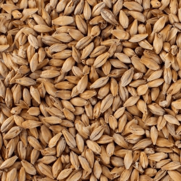 GRAINS - Light Munich Malt - 55lb