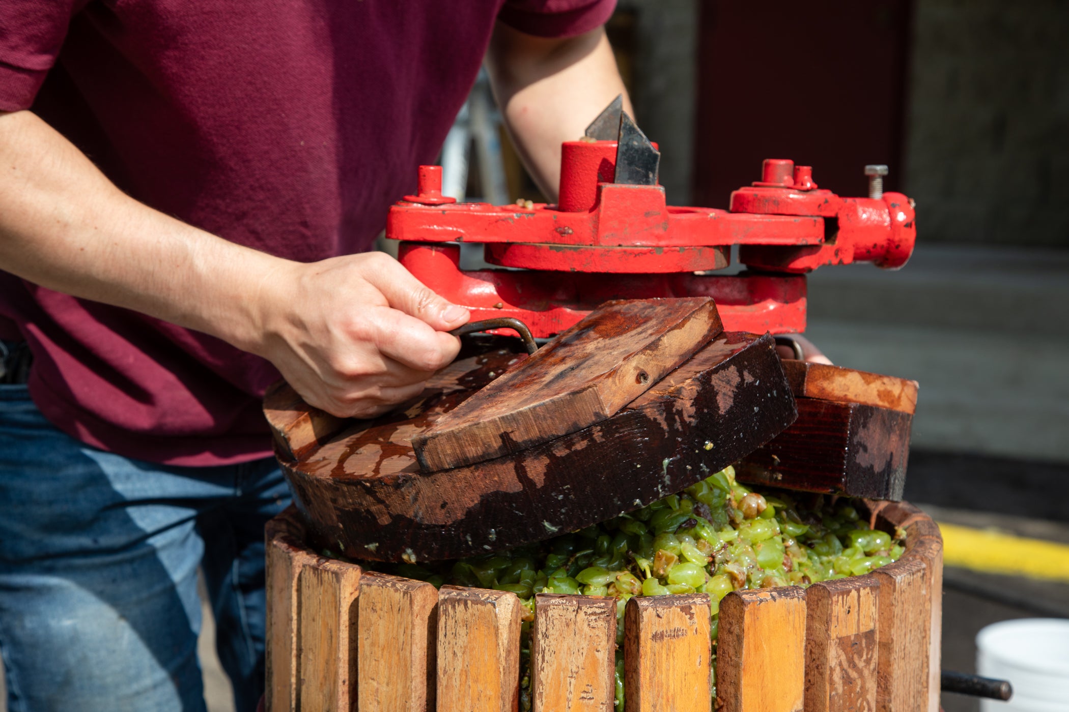 How to make wine from grapes
