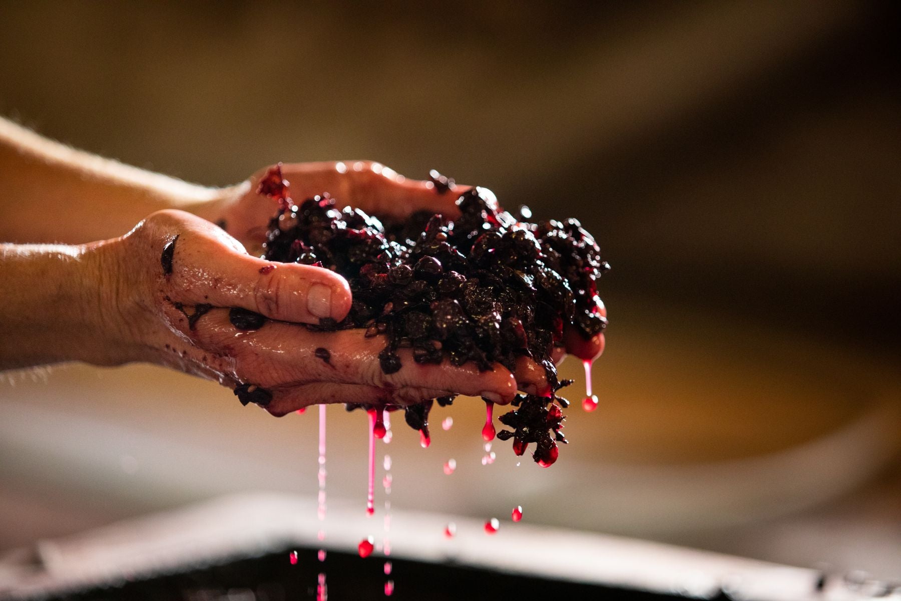 What Do I Need to Make Wine from Fresh Grape Juice?