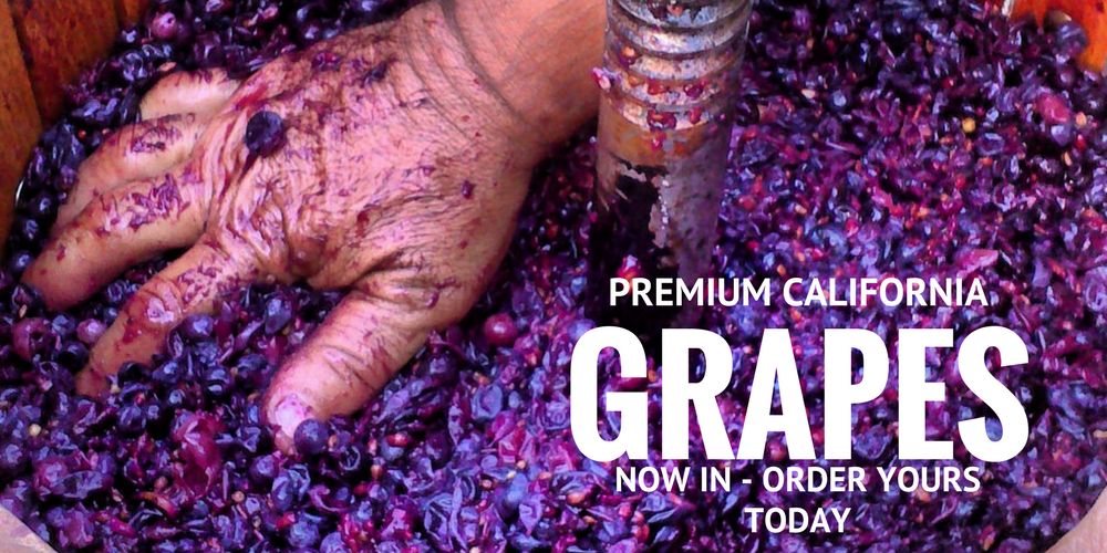 California Grapes for wine - London, Ontario