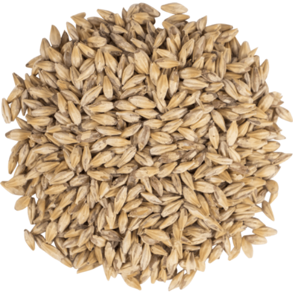 GRAINS - Carafoam (aka) Carapils - 50lb