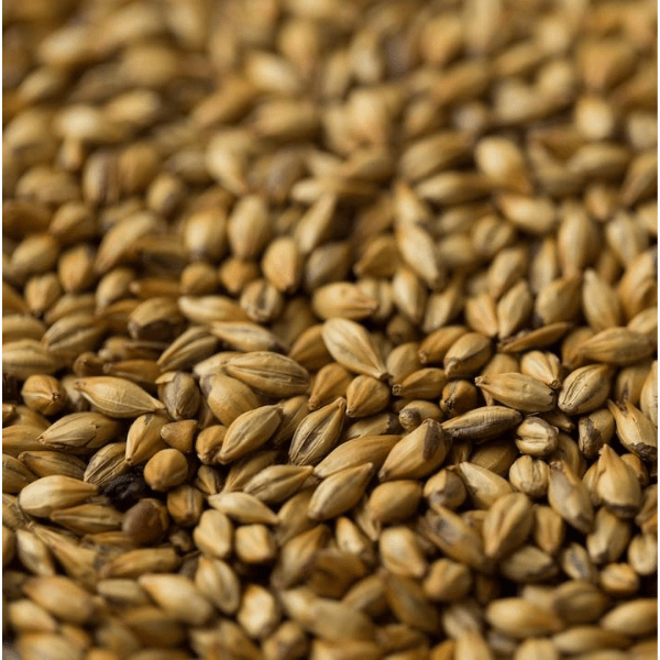 GRAINS - Crystal Medium Malt - 50lb