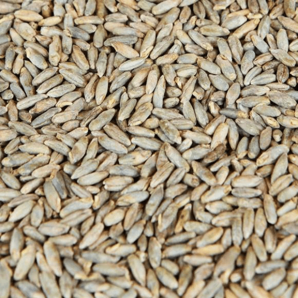 GRAINS - Rye Malt - 5lb