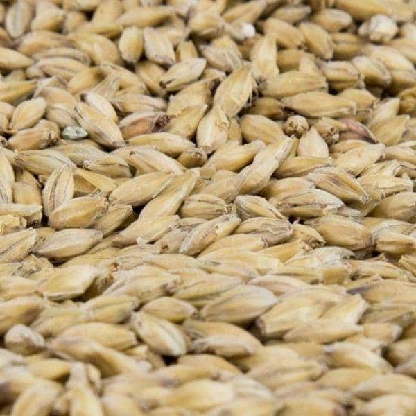 GRAINS - Vienna Malt Grain - 5lb