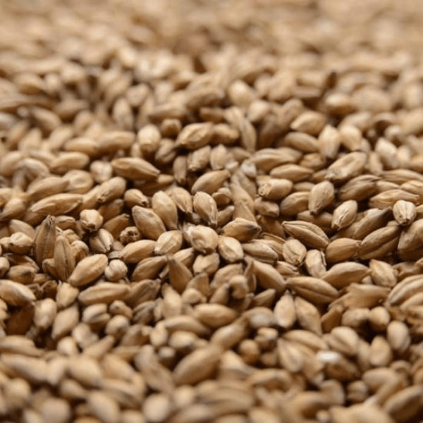 Peated Malt 5lb