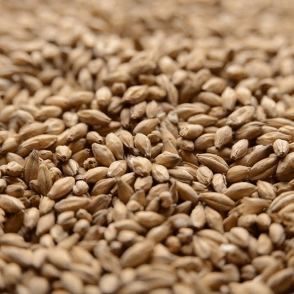 Peated Malt for brewing beer