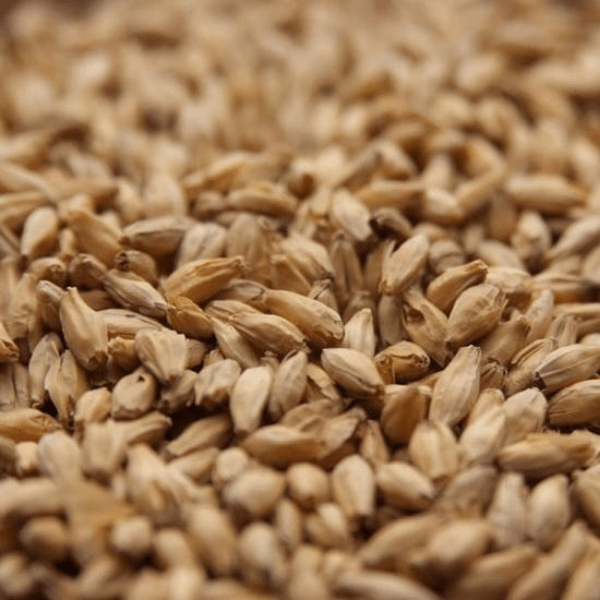 GRAINS - 6 Row Malt - 55lb