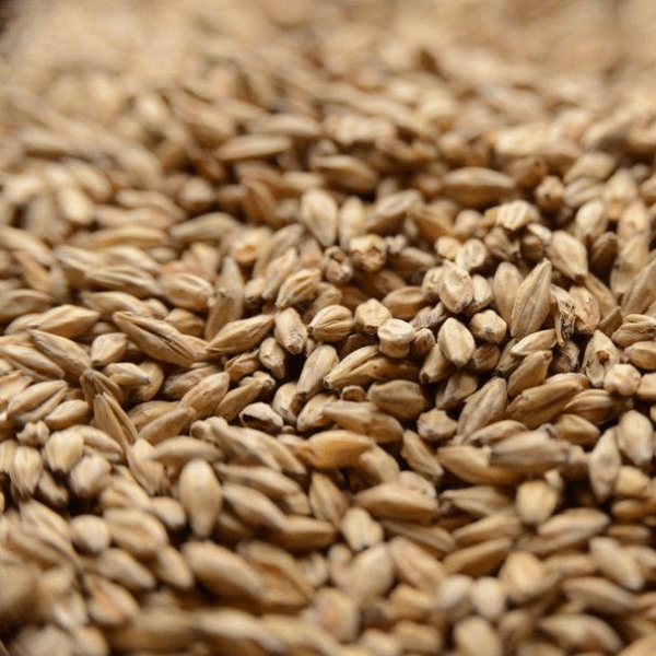 GRAINS - Honey Malt - 5lb