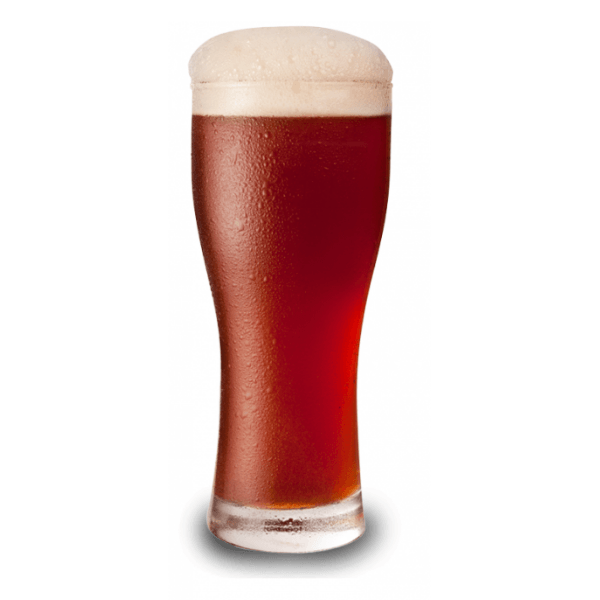 BEER KITS - Festa Brew Red Ale